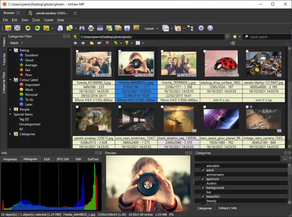 XnView MP（照片查看器、图像管理、图像缩放器）插图