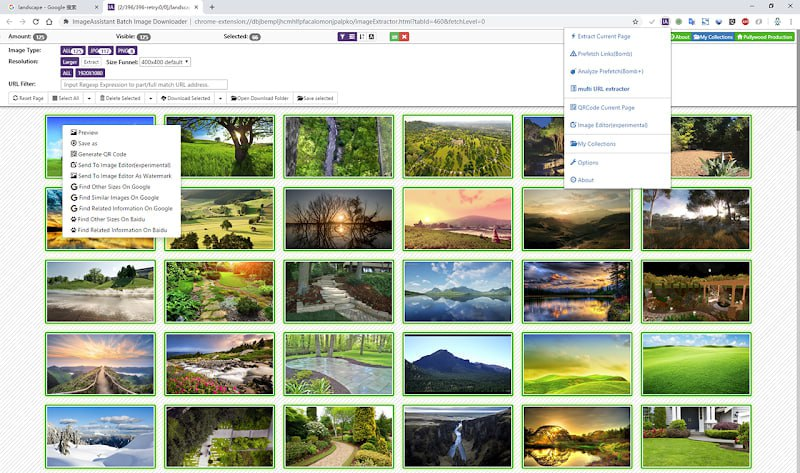 图片助手 ImageAssistant：高效网页图片抓取和批量下载插件插图