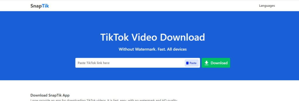 TikTok在线解析下载，免费插图